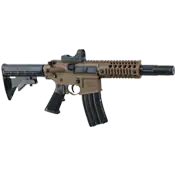 Firearms – Guns and Ammunition Store