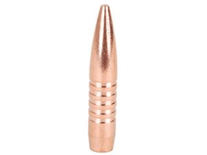 Barnes Triple-Shock X (TSX) Bullets 338 Caliber (338 Diameter) 285 Grain Hollow Point Boat Tail Lead-Free Box of 50 For Sale
