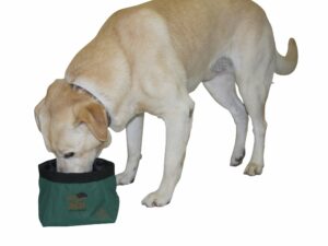 Avery Sporting Dog EZ-Stor Collapsible Dog Food/Water Bowl For Sale