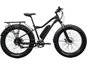 Fission FM 750 Electric Bike For Sale