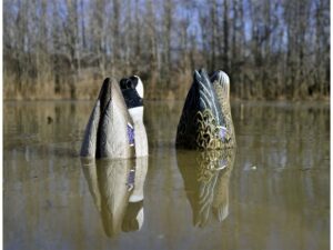 Higdon Magnum Foam Filled Duck Butt Mallard Duck Decoy Polymer Pack of 2 For Sale