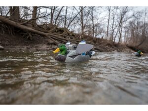 Lucky Duck Lucky HD Floater Motion Drake Mallard Duck Decoy For Sale