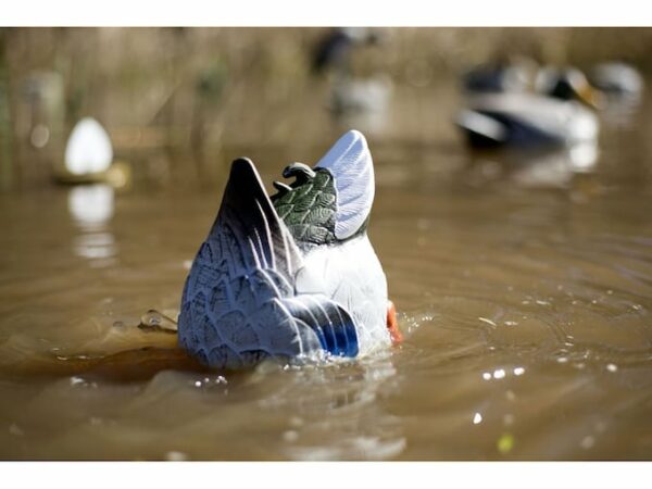 MOJO Butt Up Rippler Motion Duck Decoy For Sale