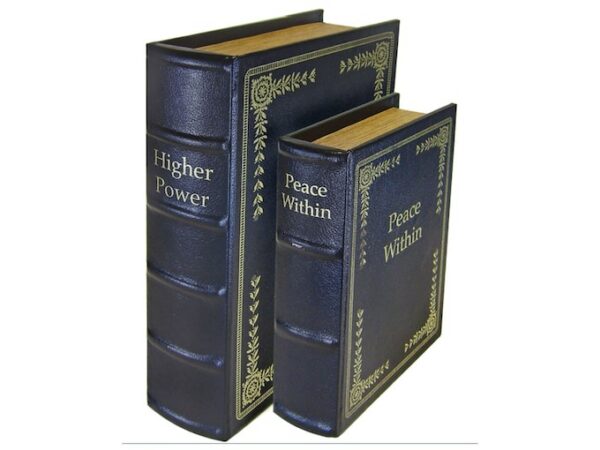 Peace Keeper Diversion Books Set of Two Black For Sale